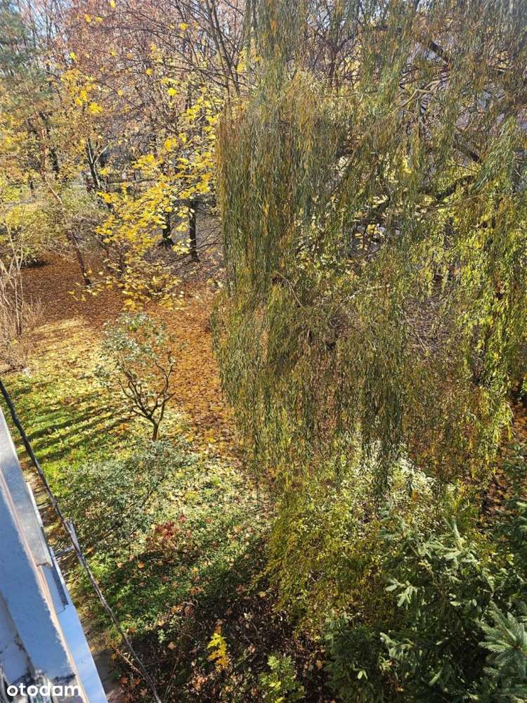 Prądnicka,2pok,idealne po Inwestycję lub by Zamieszkać,2/4,niegłupie-1