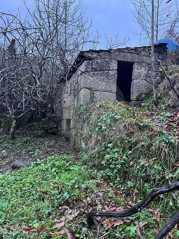 Quinta  para venda - Grande imagem: 4/11