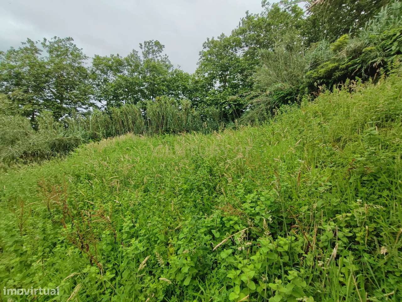 Terreno Rústico - Grande imagem: 4/12