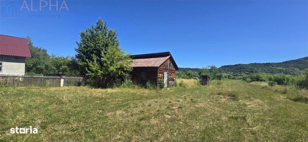 Casa cu teren 5900 mp str. Ghinzii sub padure - Imagine principală: 4/8