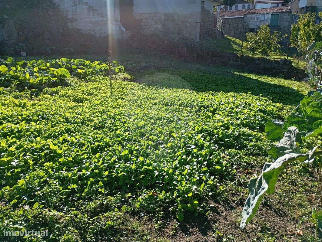 Moradia T3 para venda - Grande imagem: 5/11