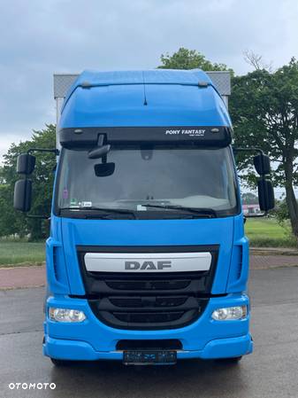 DAF LF 18.290 / FIRANKA / 9.25M DŁUGOŚCI / AUTOMAT / SALON POLSKA / 9 675 KG ŁADOWNOŚCI / EURO 6 - 18