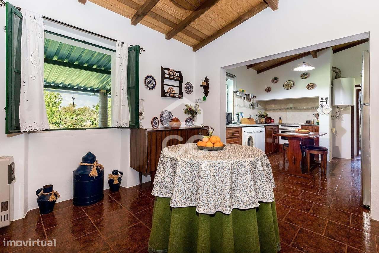 Quinta de 9250m2 c/ Moradia T4 térrea, anexo e armazém | Azaruja-9