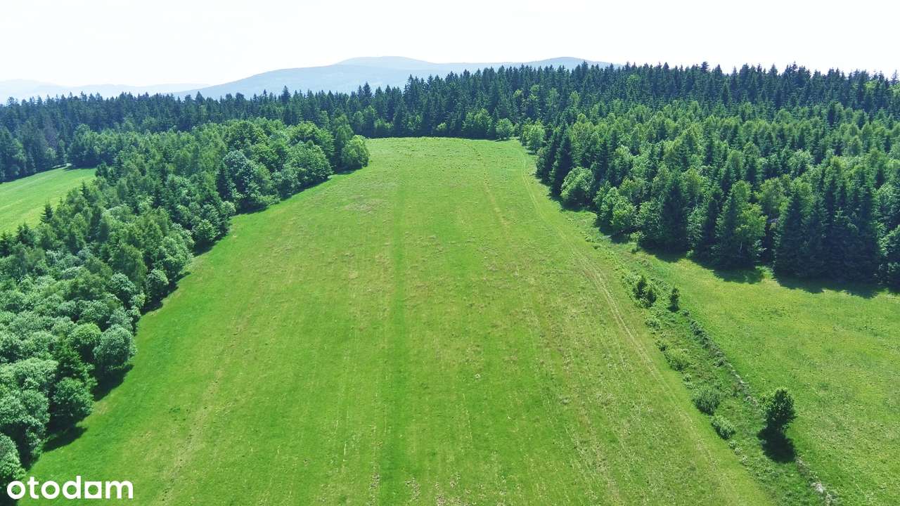 Na Sprzedaż Pięknie Położony Grunt Budowlany w Kotlinie Kłodzkiej-15