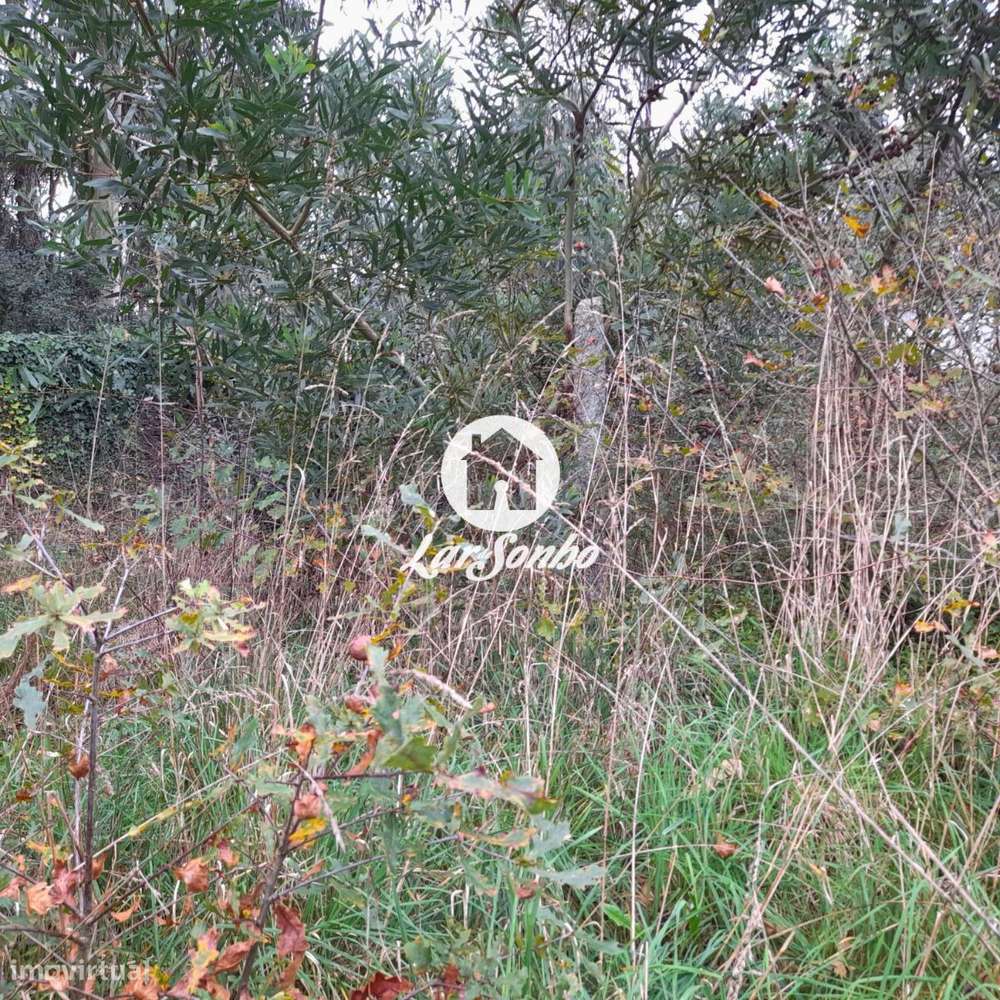 Terreno para construção moradia em Fão - Grande imagem: 5/28