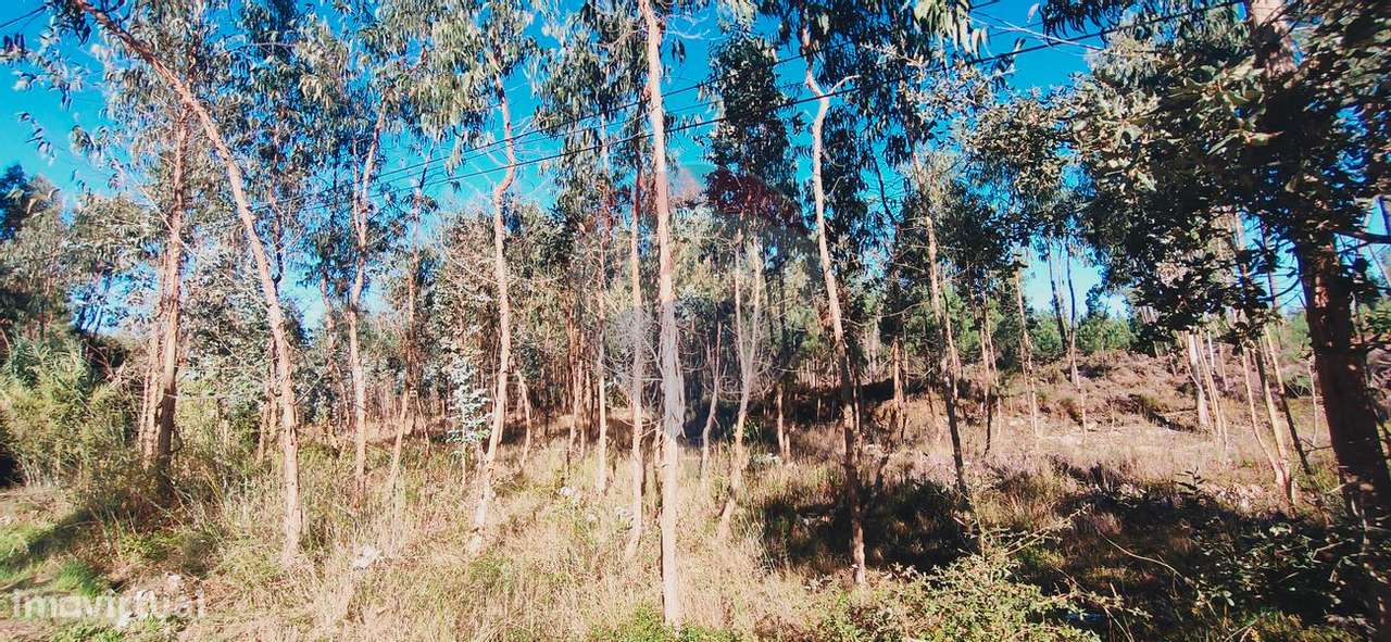 Terreno  para venda - Grande imagem: 2/5