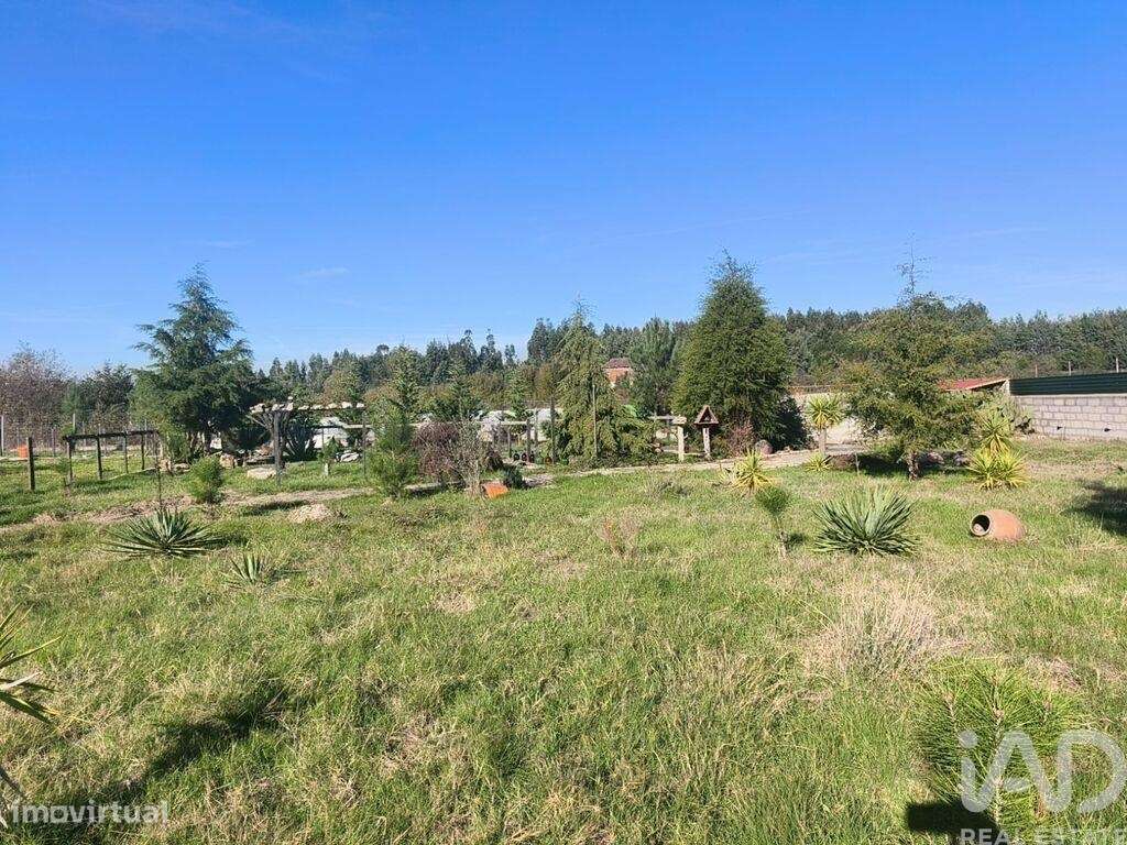 Propriedade em Ervedal e Vila Franca da Beira de 1890 m2 - Grande imagem: 5/25