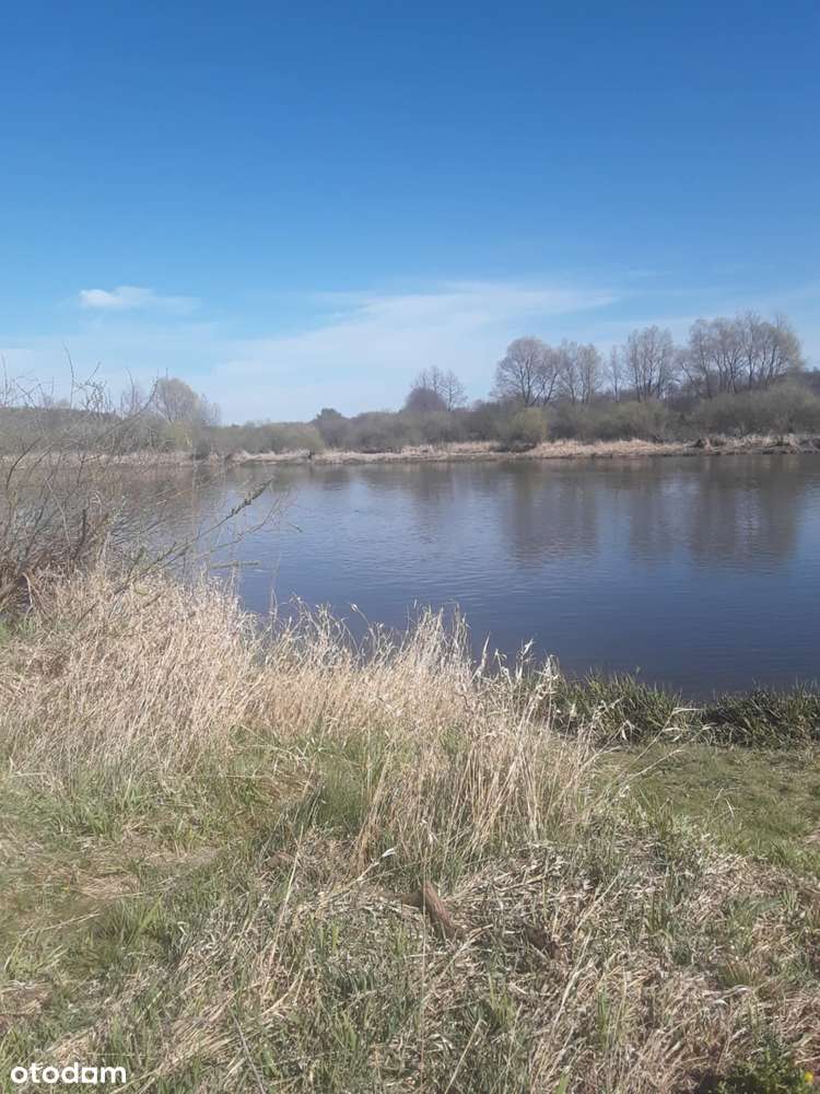 Piękne działki leśne Wólka Nadbużna nad rzeką Bug - Pełny obrazek: 5/12