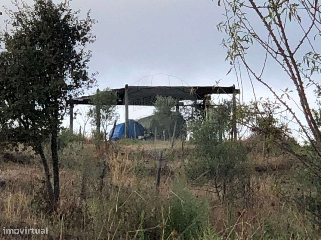 Quinta T6 para venda-5