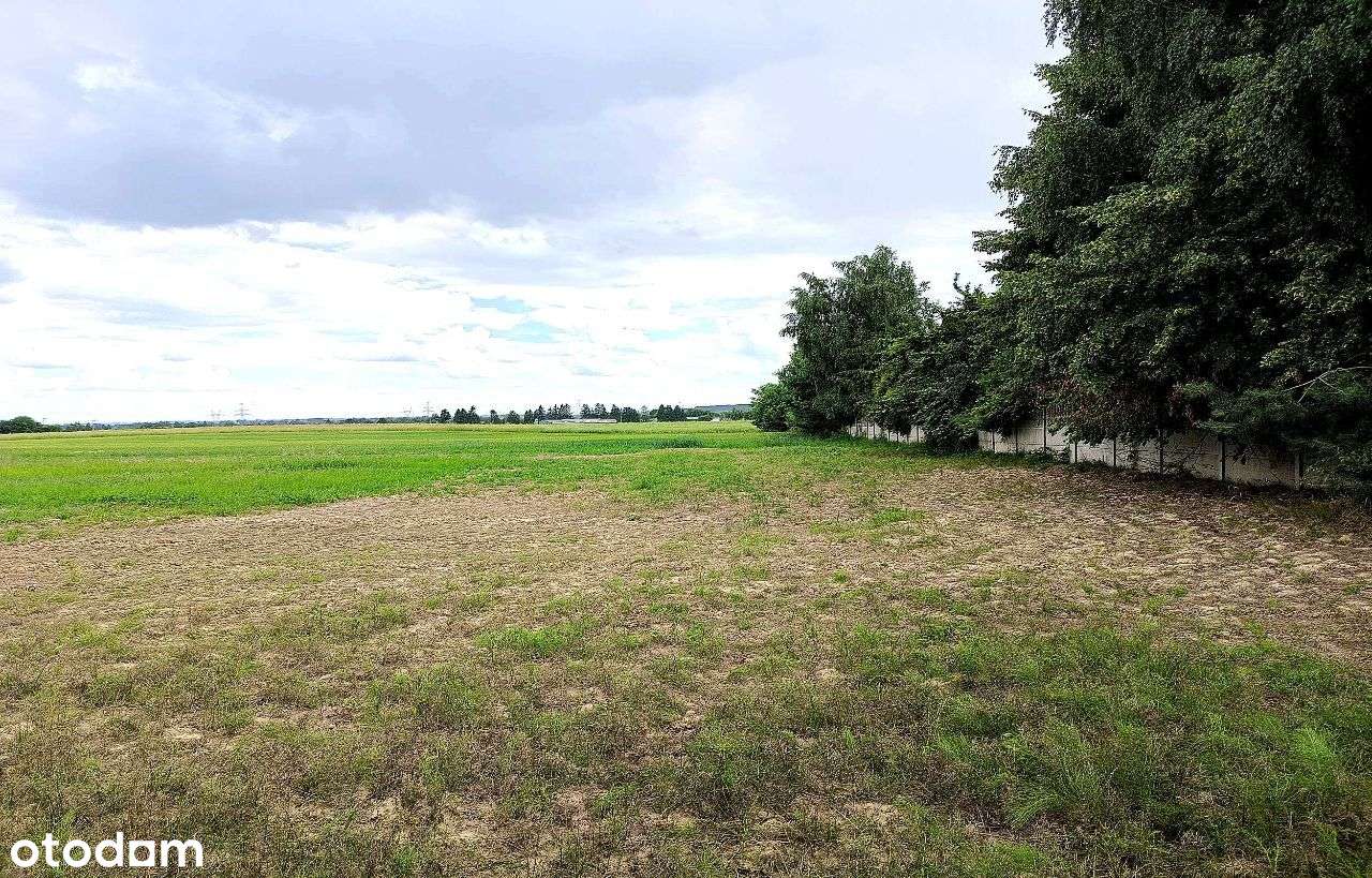 Działka budowlana Zamość Siedliska - Pełny obrazek: 4/12