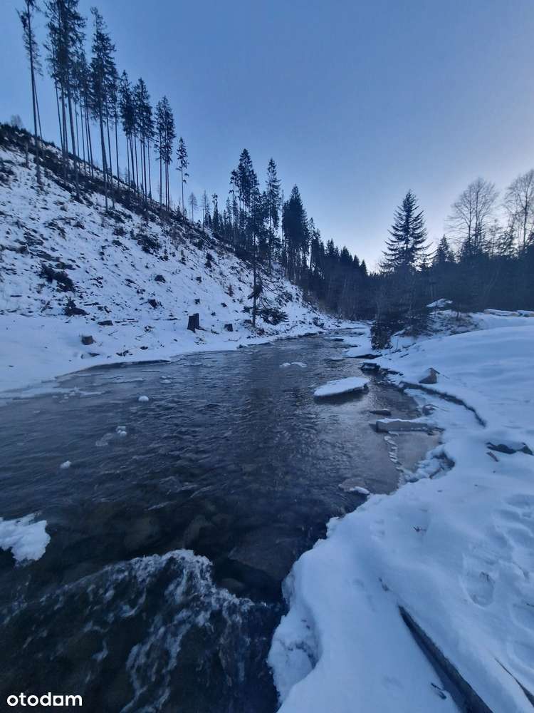 Działka budowlano- leśna z widokiem na góry| Ujsoły / Złatna | media-7