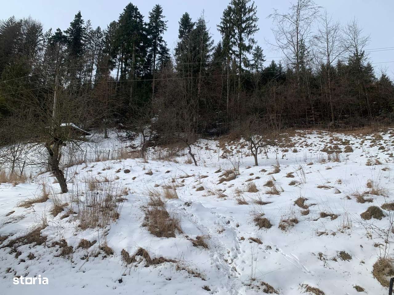 Casă P+E+M Putna | 300 mp utili | Teren 2.200 m-4