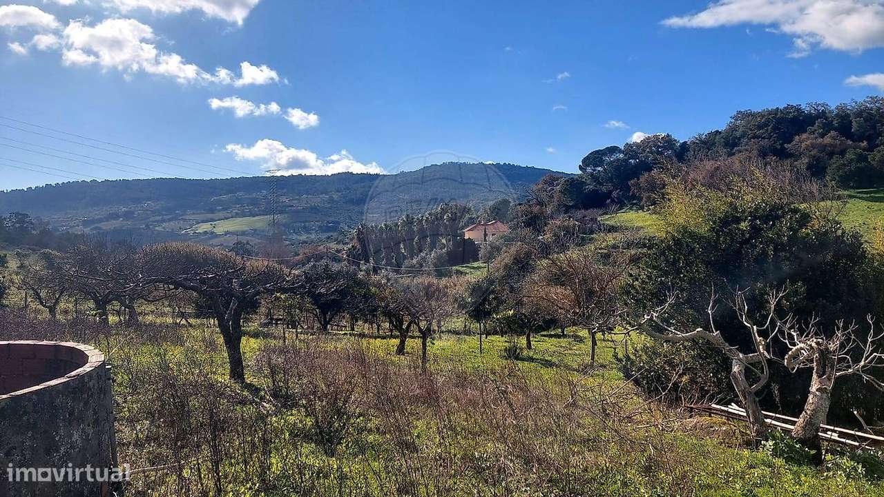 Terreno  para venda - Grande imagem: 5/43