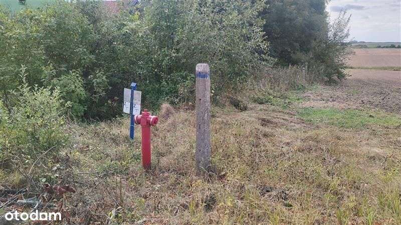 DE FACTO NIERUCHOMOŚCI - DZIAŁKA W MIEJSCOWOŚCI LEPNO, RYCHLIKI-7