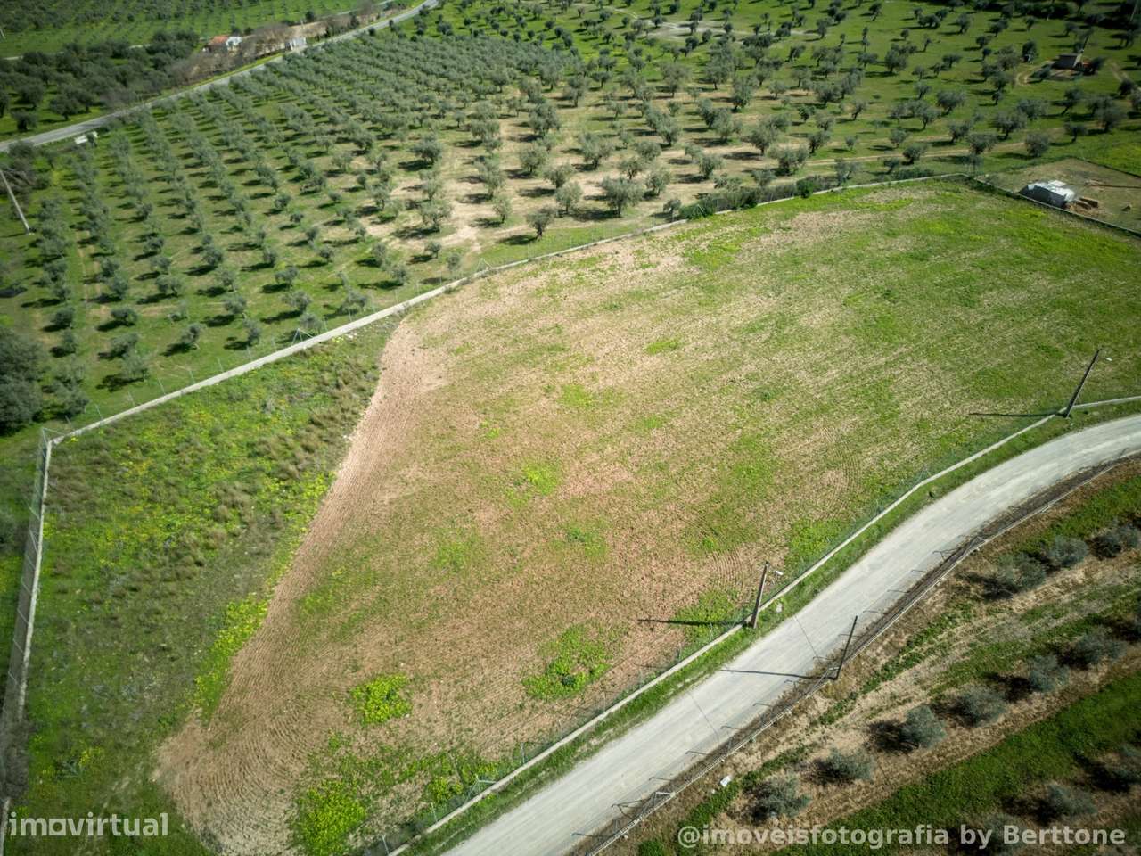 Terreno rustico murado de 7.130 m² em Moura - Grande imagem: 3/6