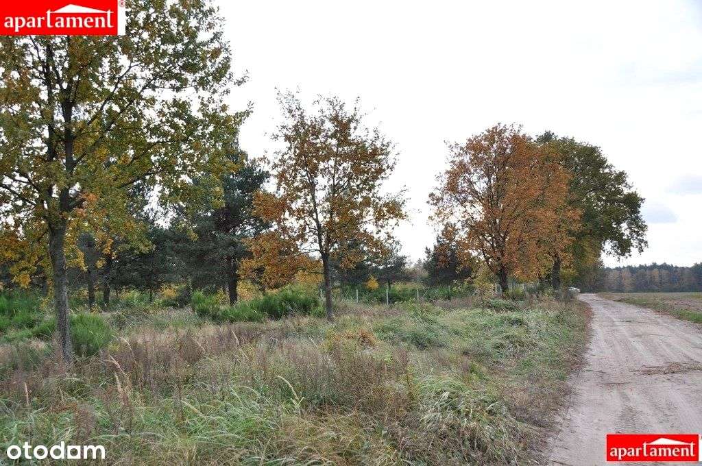 Działka budowlana, ul. Kalinowa-5