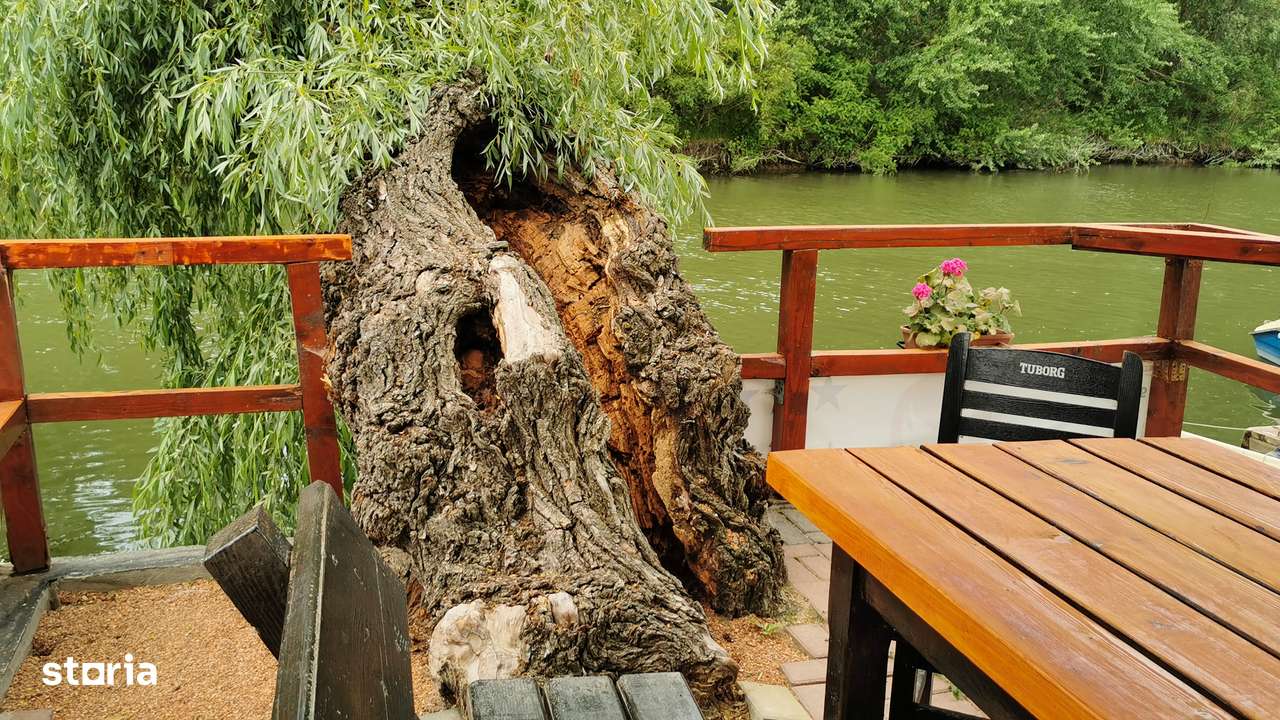 Pensiunea,Afacere la cheie in Delta Dunării, Uzlina-2