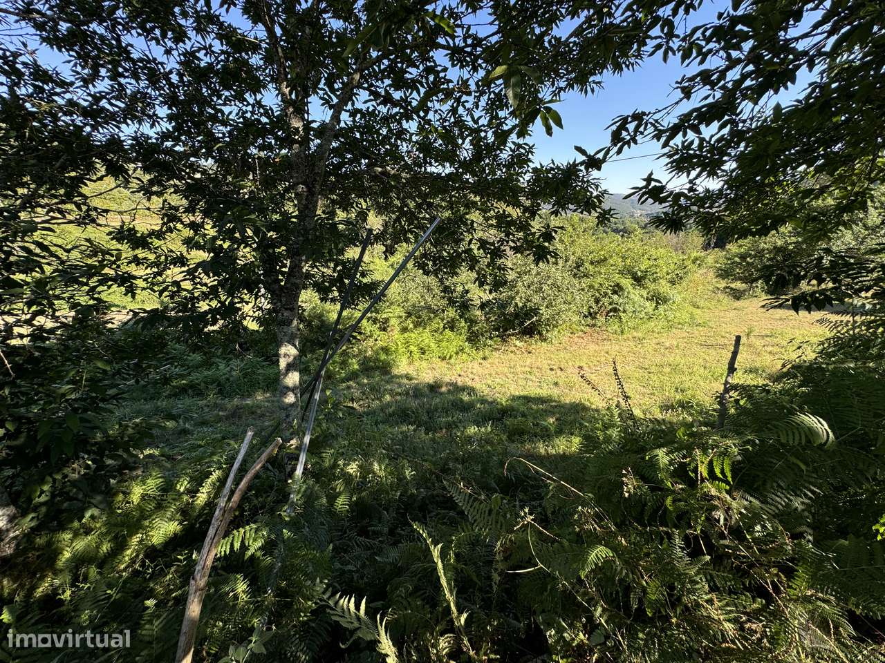 Quinta c/ pavilhão – São Pedro do Sul - Grande imagem: 5/12