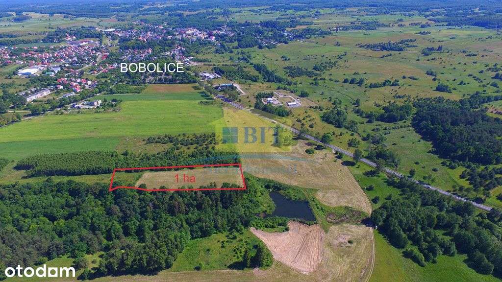 Działka inwestycyjna 1ha przy drodze krajowej nr11 - Pełny obrazek: 4/7