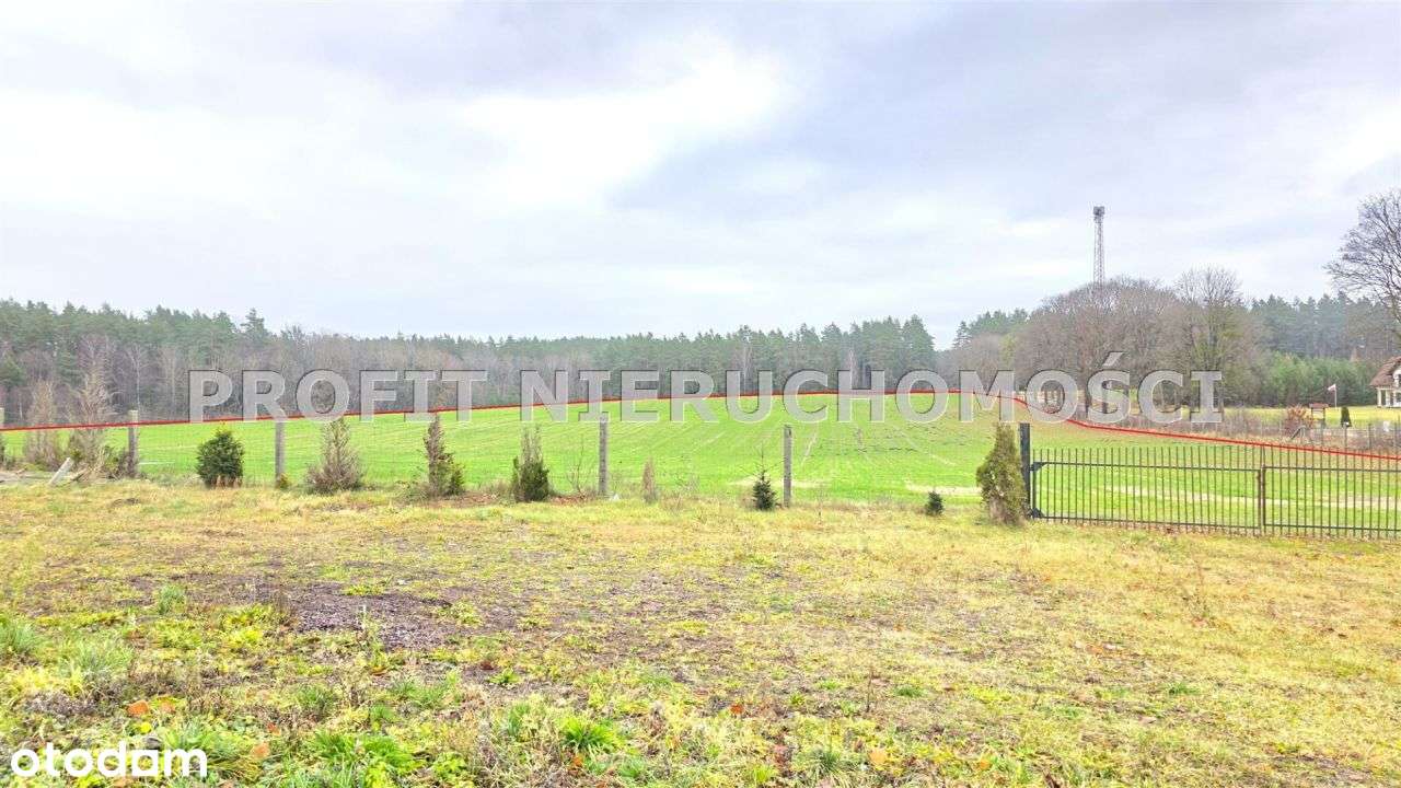 Duże gospodarstwo z zabudowaniami i działkami - Pełny obrazek: 4/20