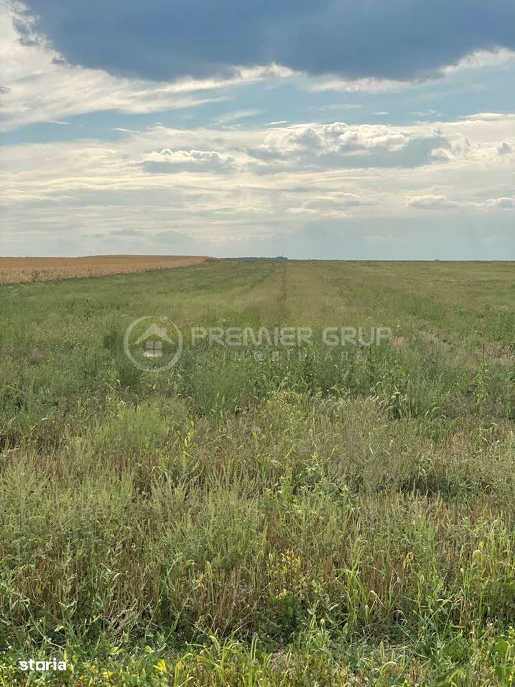 Teren 7.200mp, Bogdanesti-Horlesti - Imagine principală: 4/6