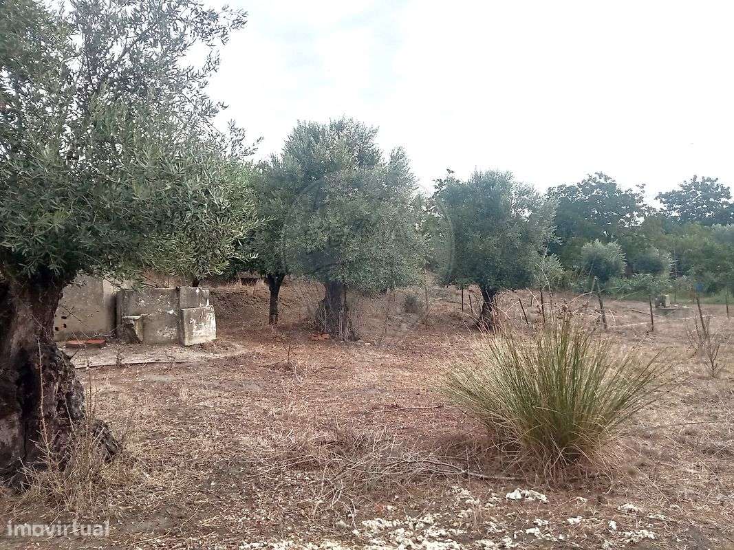 Moradia T1 para venda - Grande imagem: 4/6