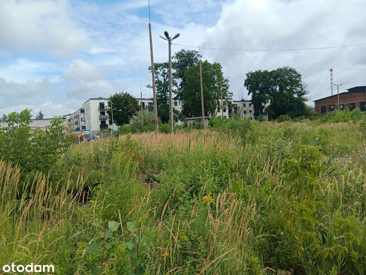 Atrakcyjna działka w Dębicy przy ulicy Saperów - Pełny obrazek: 4/5