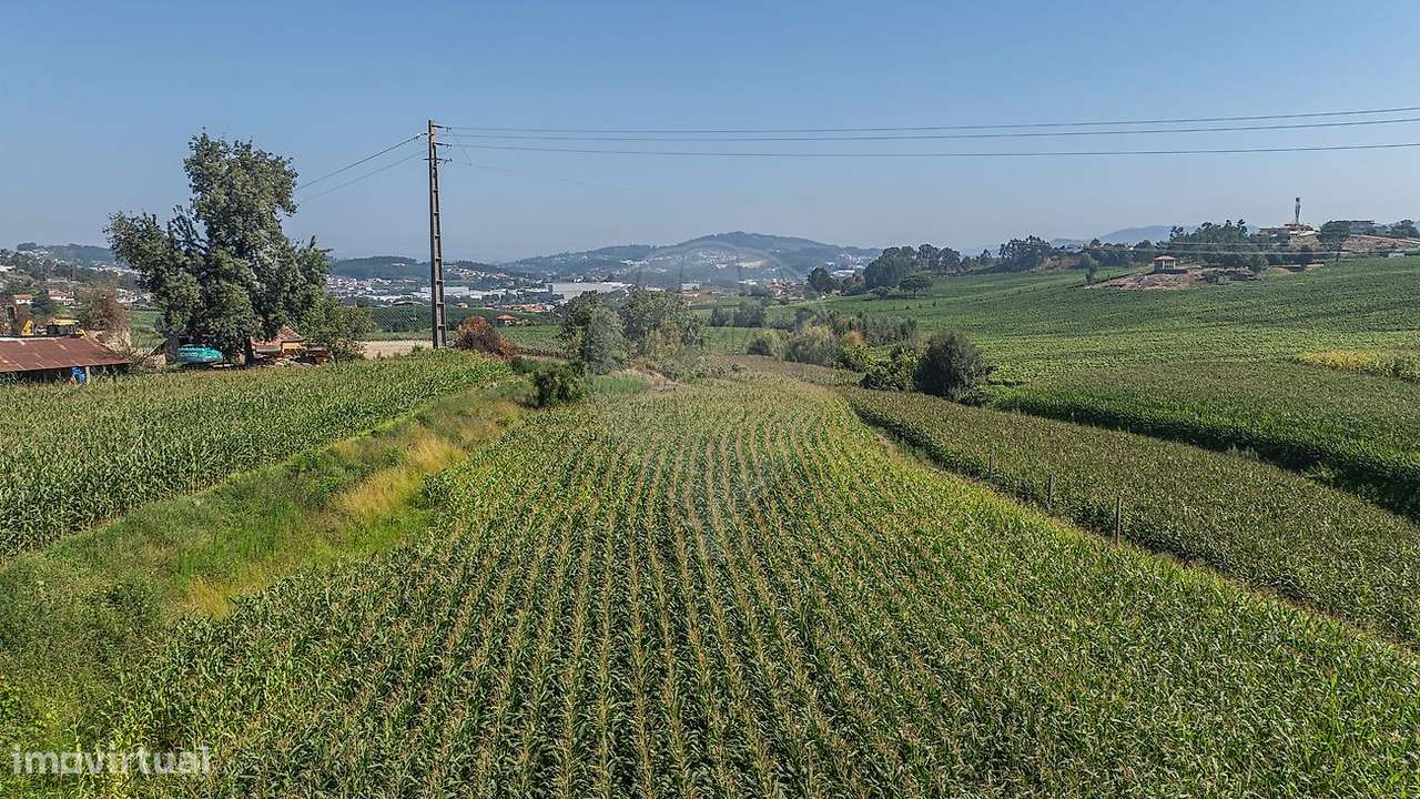 Quinta T3 para venda-23