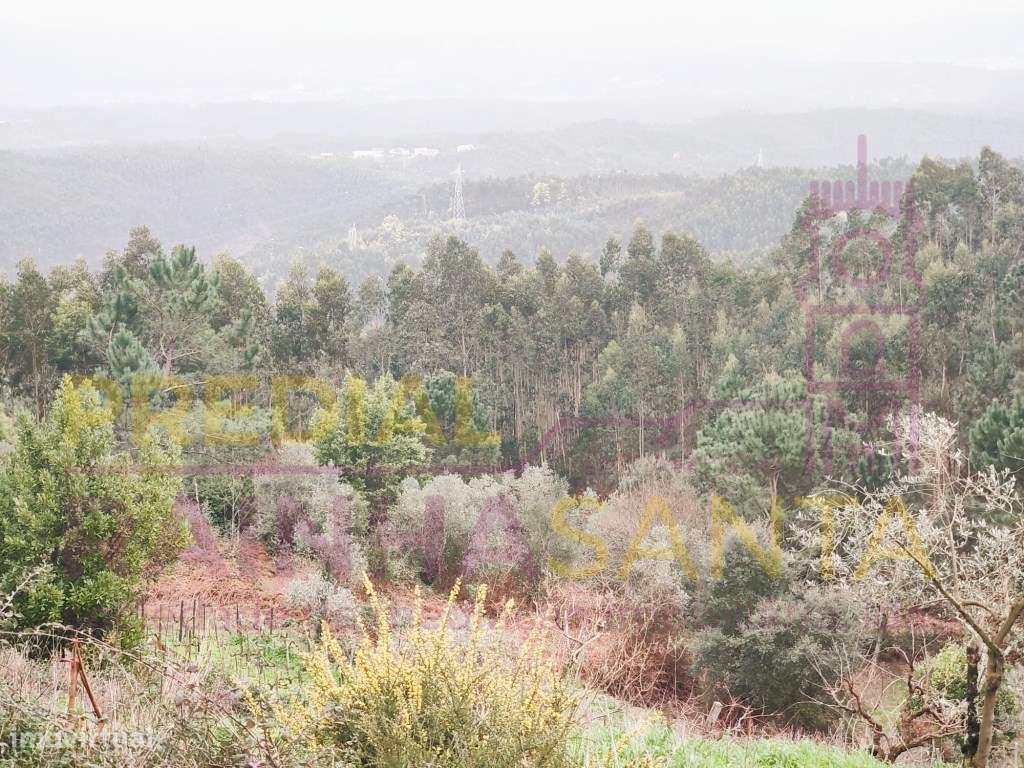 Moradia c/ 5000 m2 terreno , anexos, furo. 16 Km de Coimbra.-18