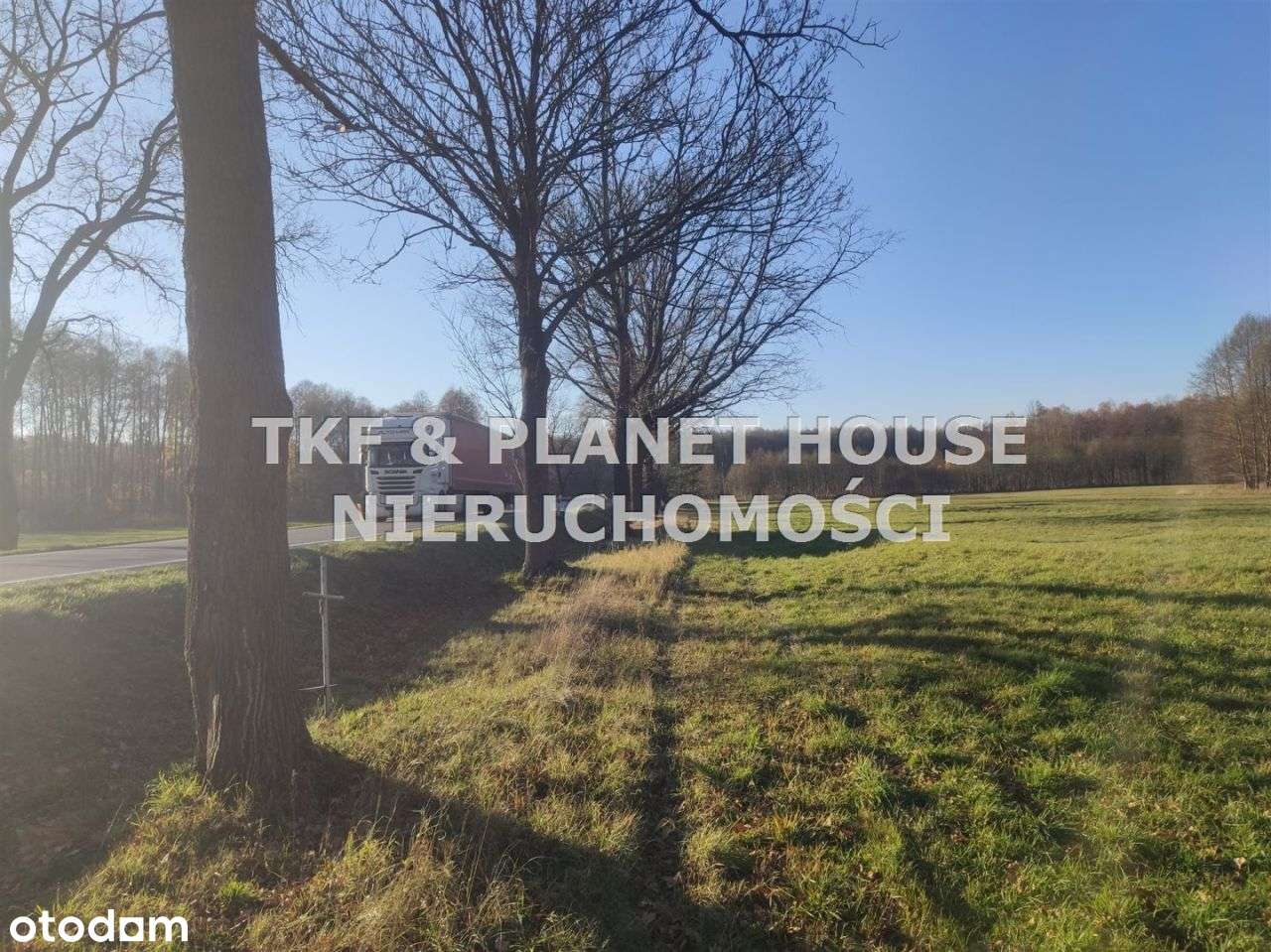 Sprzedam działkę pow.7,4ha Brudzewice Kolonia - Pełny obrazek: 5/8