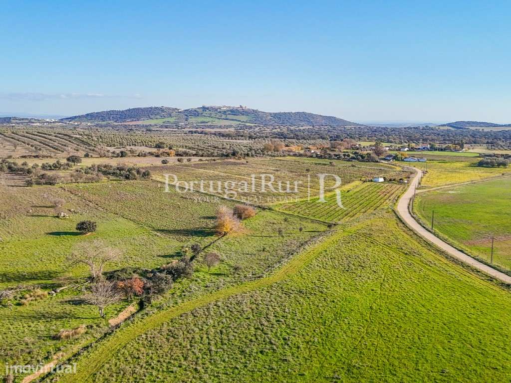 Terreno apto a Alojamento Local - Grande imagem: 2/8