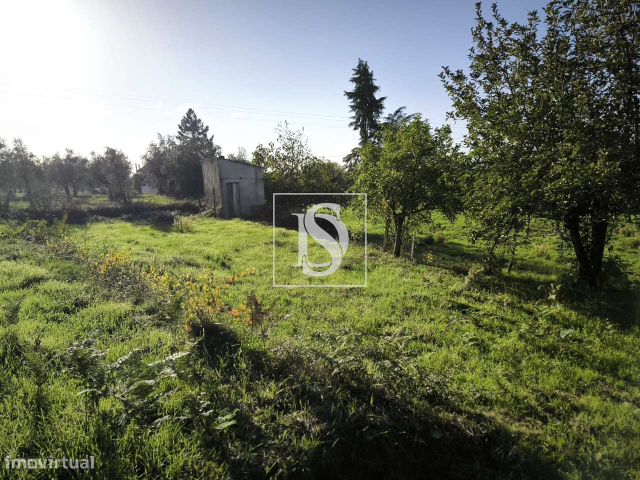 Terreno Rústico com capacidade construtiva em Oliveirinha-11