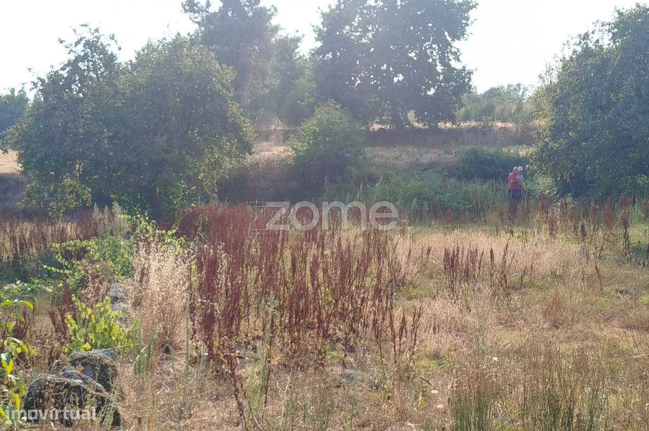 Terreno, 4 699 m², Santiago de Cassurrães e Póvoa de Cervães - Grande imagem: 4/19