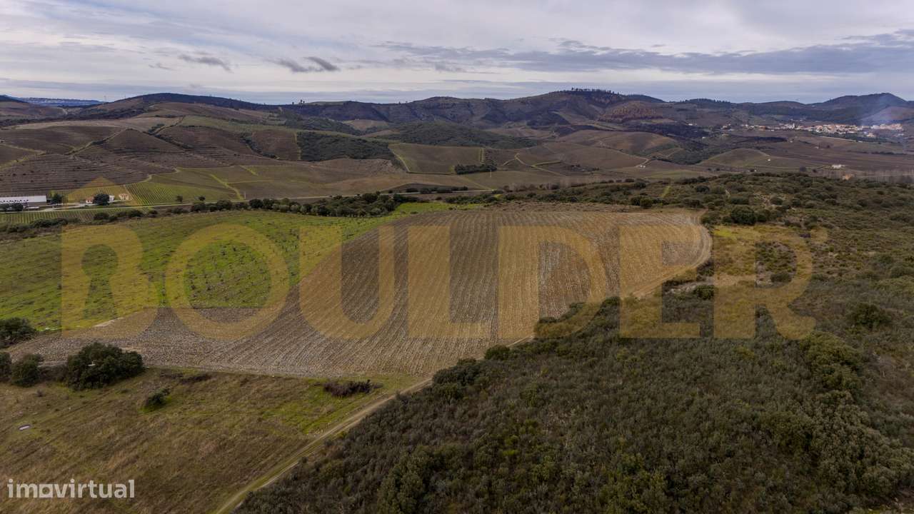 Quinta do Arieiro - Cedovim | Vila Nova de Foz Côa | Douro Superior-48