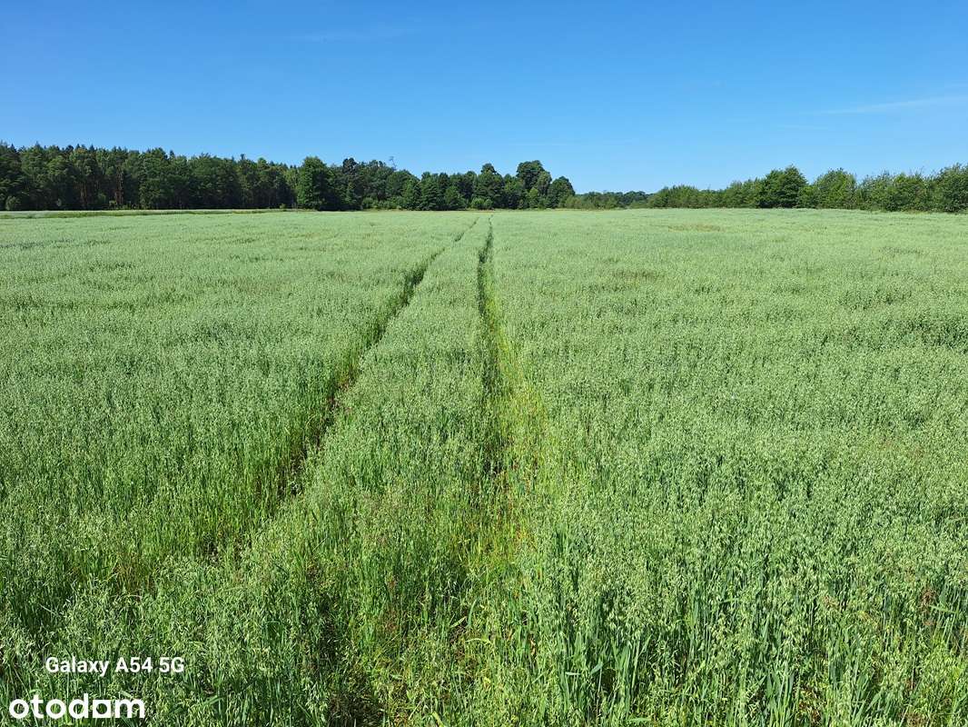 ZIEMIA ROLNA GRUNT ORNY 43,40 ha gmina Namysłów PROMOCJA! - Pełny obrazek: 4/8