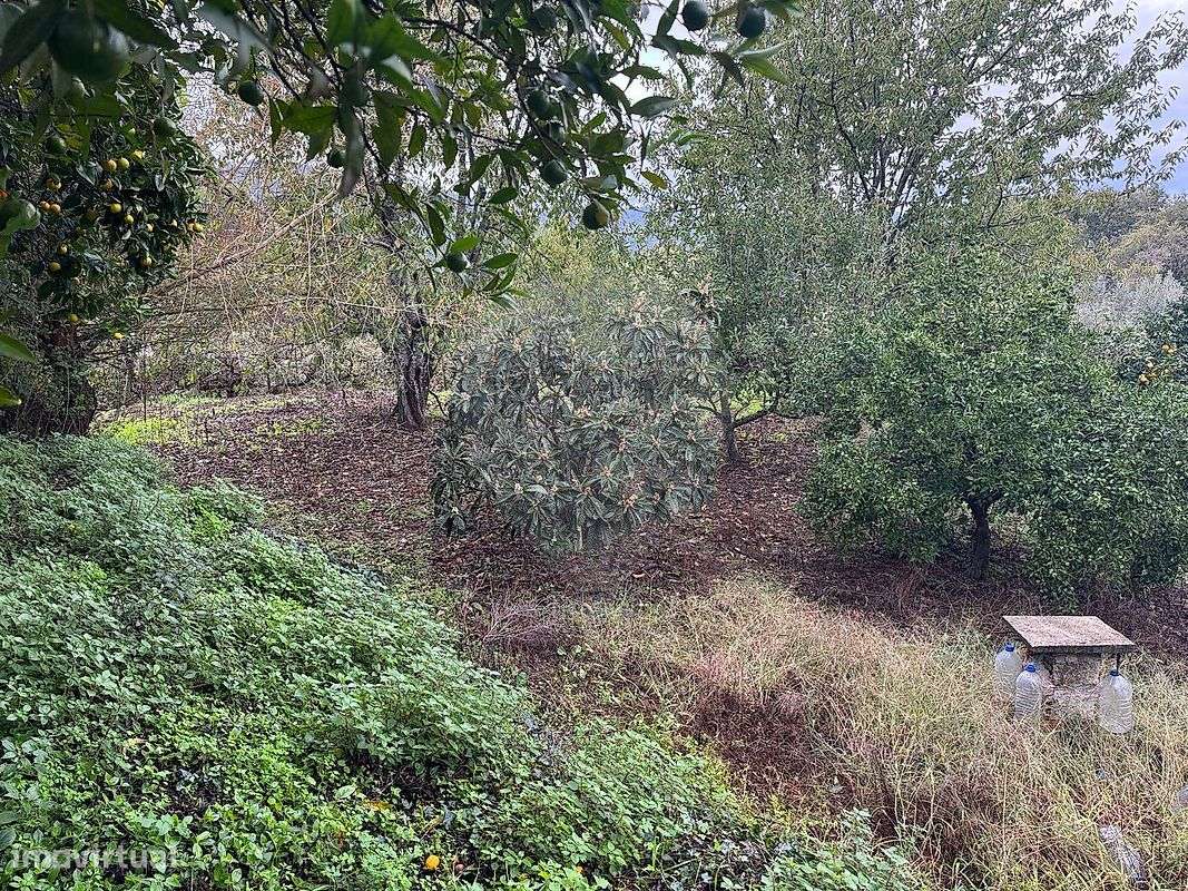 Terreno  para venda - Grande imagem: 4/9