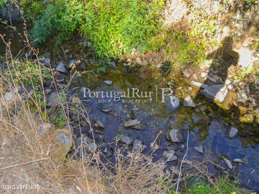 Terreno Rustico com plantação de medronhos - Grande imagem: 4/18