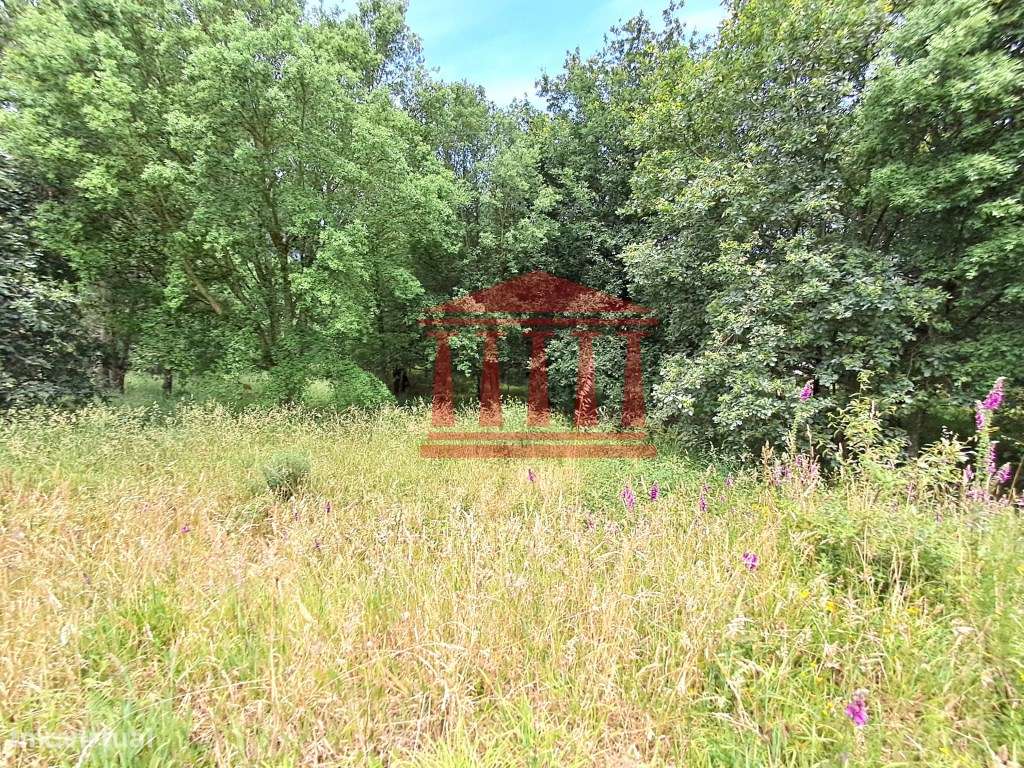 TERRENO PARA CONSTRUÇÃO-13