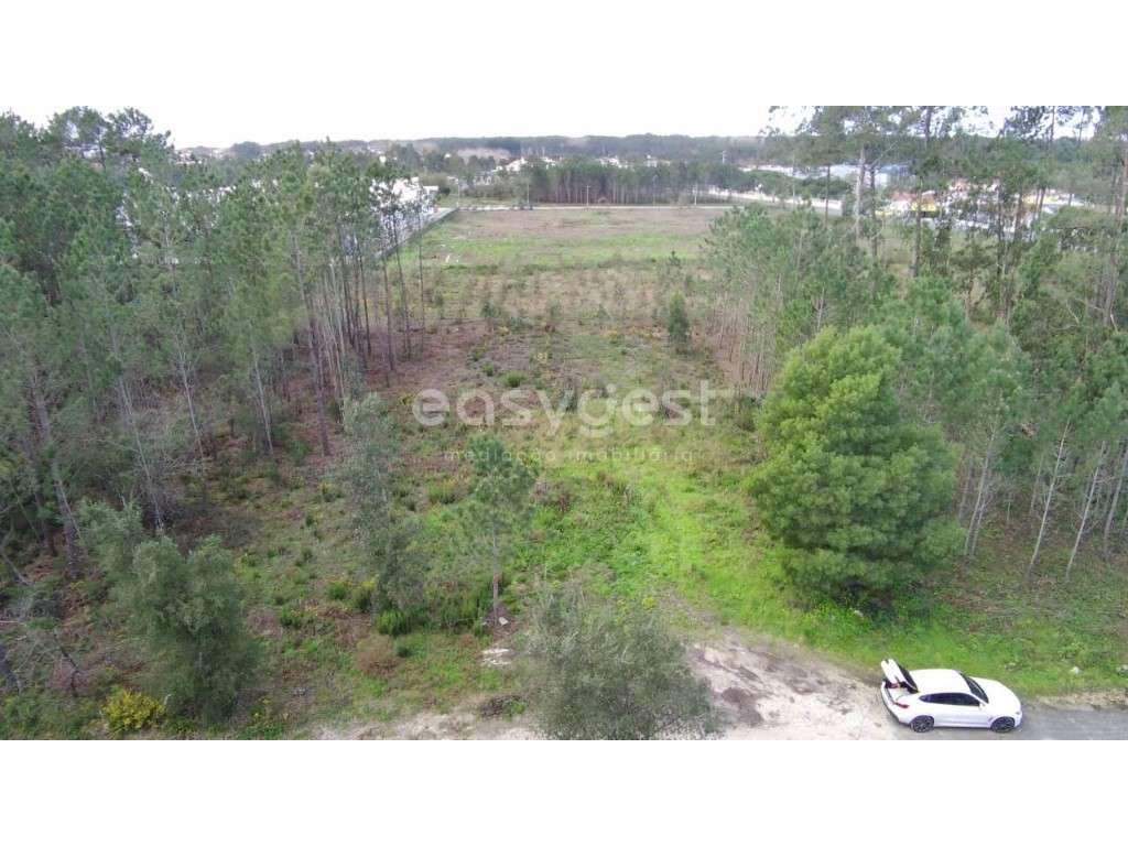 Terreno com 2120 m² para Construção Industrial na Martingança - Grande imagem: 2/16