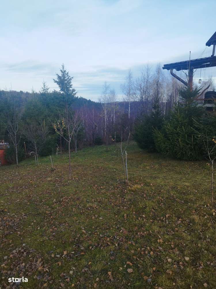 Cabana lemn cu 1000 mp teren MĂRIȘEL zonă de cabane-19