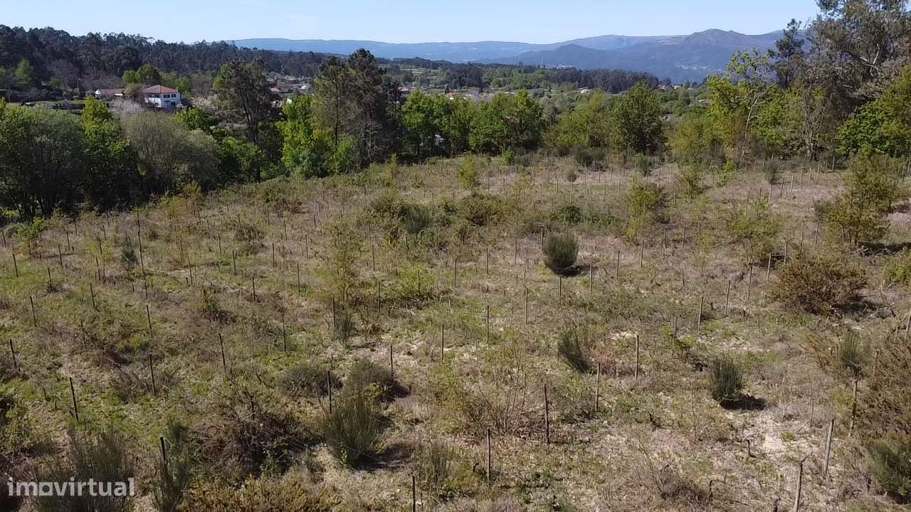 Terreno – Vouzela-3