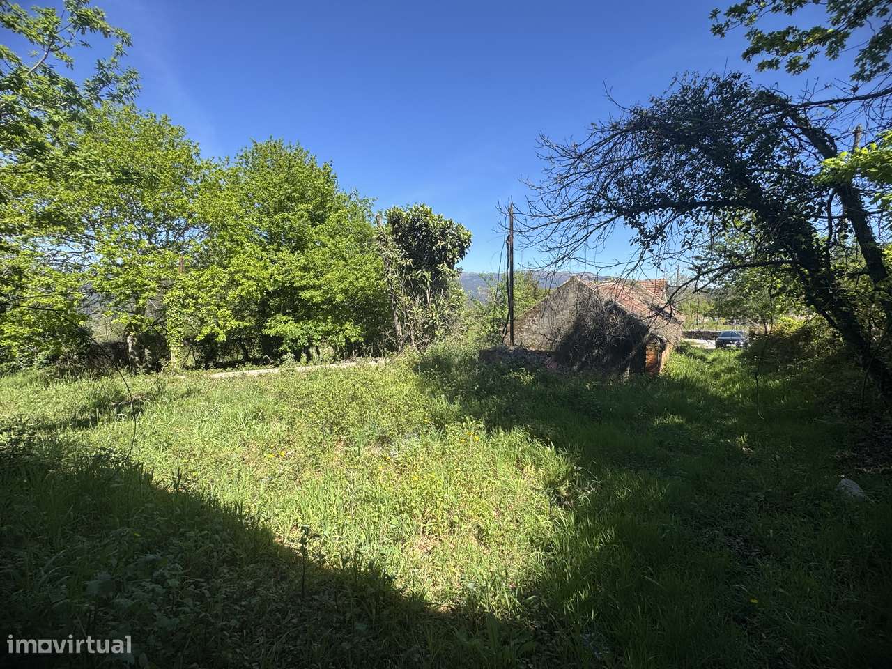 Quintinha – Oliveira de Frades-11