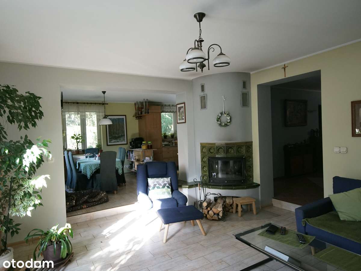 Blisko Zalesia Górnego, okolice Lasu Chojnowskiego - Pełny obrazek: 4/10