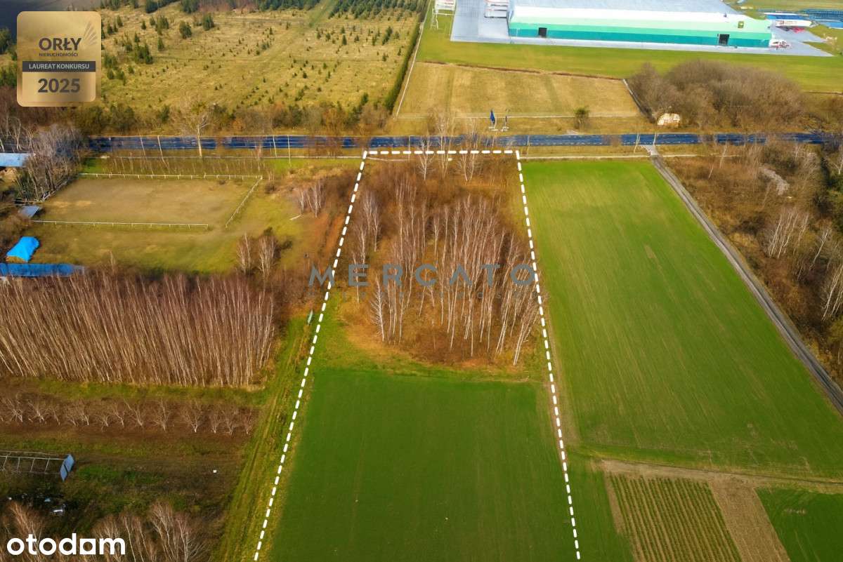 Działka 10 000 m² z potencjałem – na sprzedaż-1