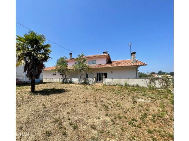 Propriedade com 8.000m² em Águeda! - Grande imagem: 4/38