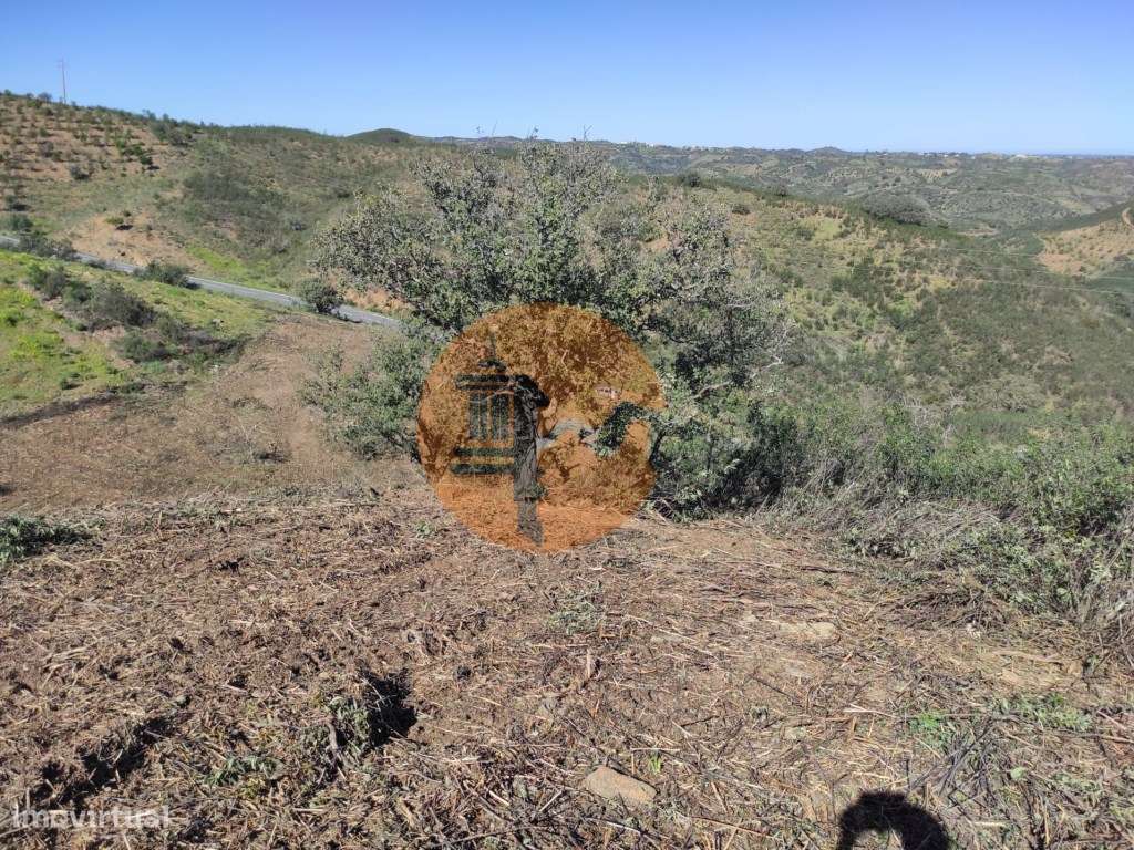 TERRENO RÚSTICO COM 5.920 M2 - BONS ACESSOS - CORTELHA - AZINHAL - ... - Grande imagem: 3/51