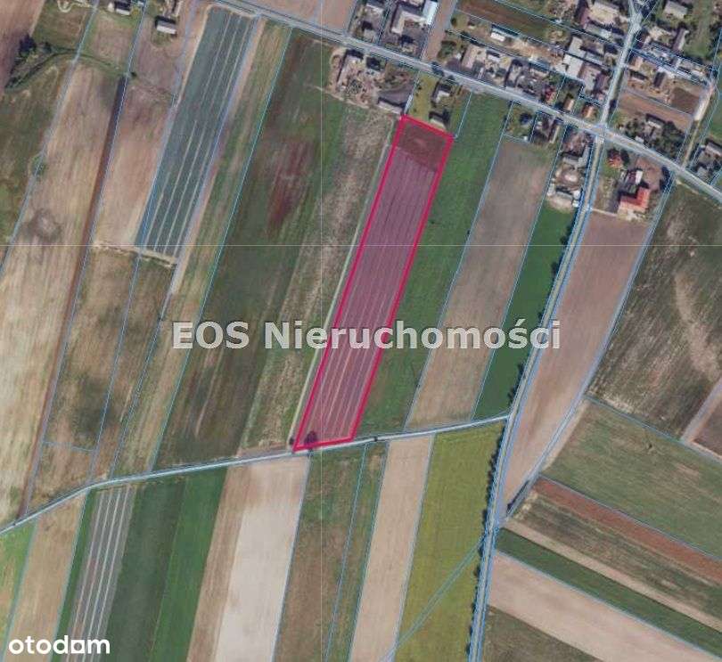 Działka, 30 005 m², Opoczki-0