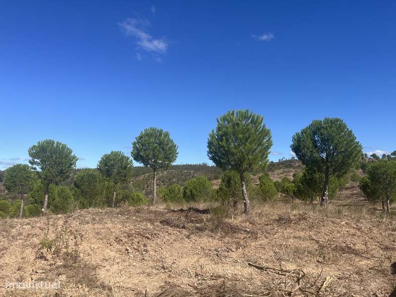 Terreno com 48ha de Natureza com Ruína de 53 m² – Ideal Projeto Rural-14
