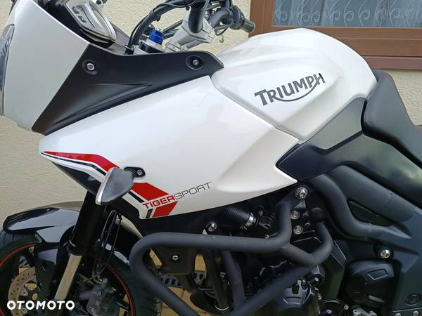 Triumph Tiger - 13