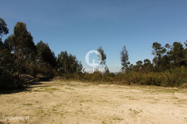 Terreno para loteamento Silvares S. Martinho Fafe-8